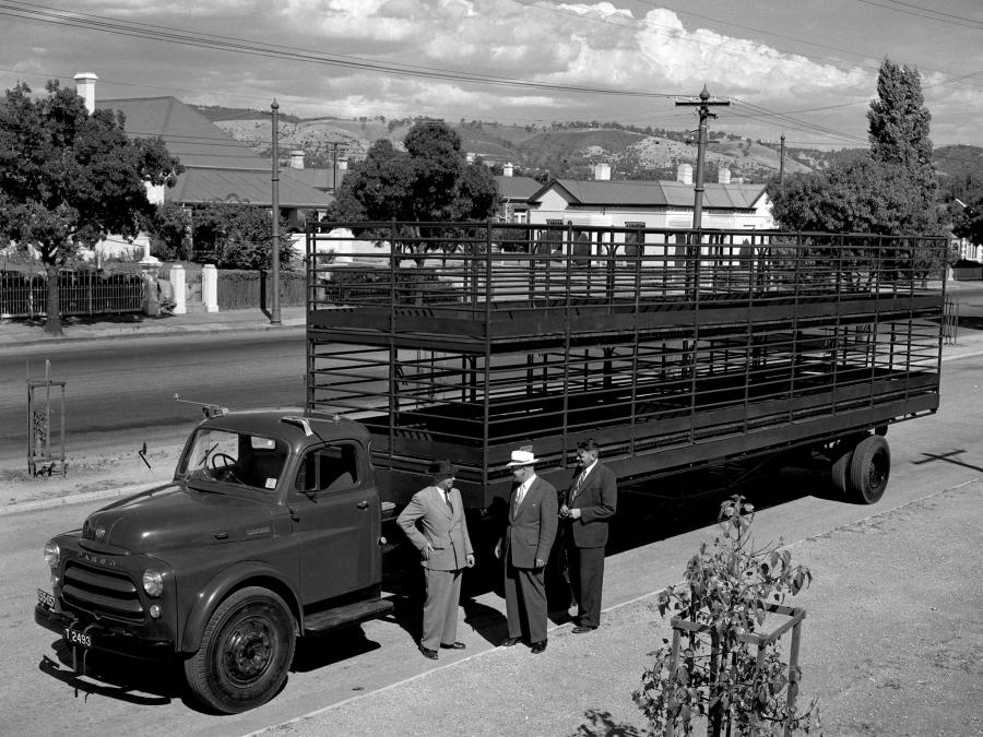  Fargo 8-71 AF Tractor Truck 1955 года  (фото 2 из 2)